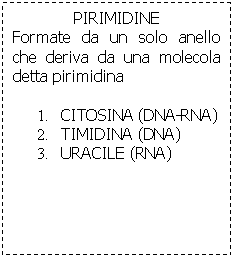 Text Box: PIRIMIDINE
Formate da un solo anello che deriva da una molecola detta pirimidina

1.	CITOSINA (DNA-RNA)
2.	TIMIDINA (DNA)
3.	URACILE (RNA)
