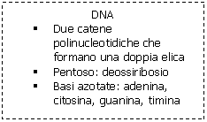 Text Box: DNA
	Due catene polinucleotidiche che formano una doppia elica
	Pentoso: deossiribosio
	Basi azotate: adenina, citosina, guanina, timina
