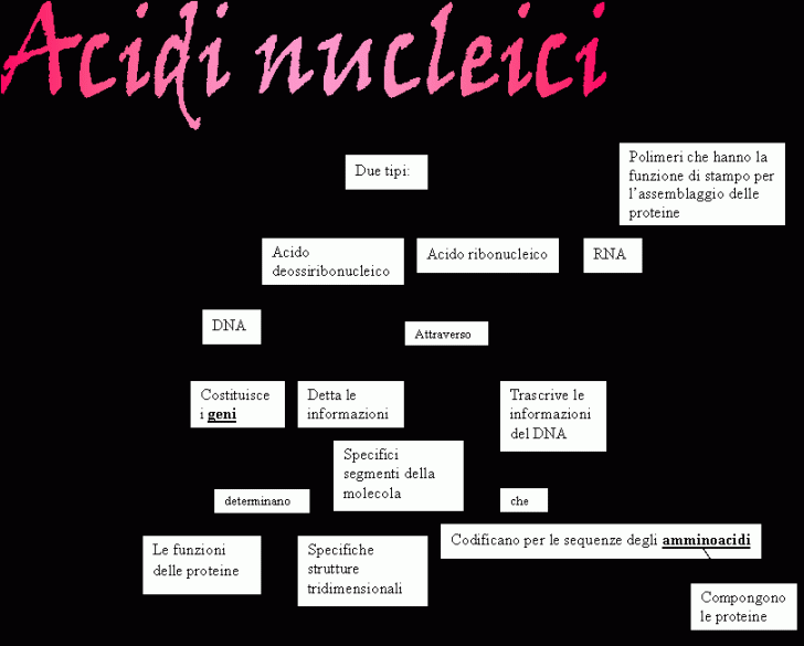 Acidi nucleici