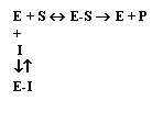 Text Box: E + S  E-S  E + P
+
 I
¯
E-I
