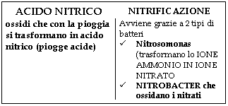 Text Box: ACIDO NITRICO NITRIFICAZIONE
ossidi che con la pioggia si trasformano in acido nitrico (<a href=