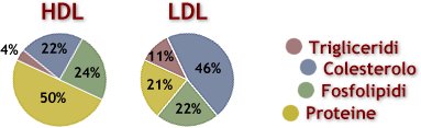Composizione delle lipoproteine HDL e LDL