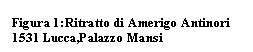 Text Box: ura 6:Ritratto di Amerigo Antinori 1531 Lucca,Palazzo Mansi