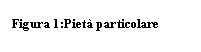 Text Box: ura 10:Piet particolare