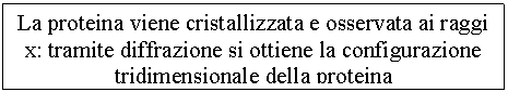 Text Box: La proteina viene cristallizzata e osservata ai raggi x: tramite diffrazione si ottiene la conurazione tridimensionale della proteina