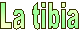 La tibia