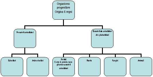 Organization Chart