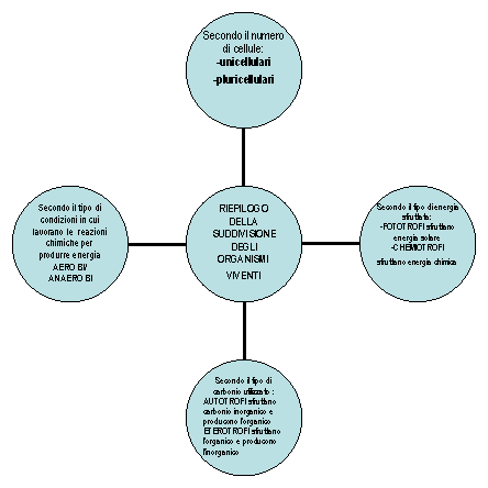 Radial Diagram