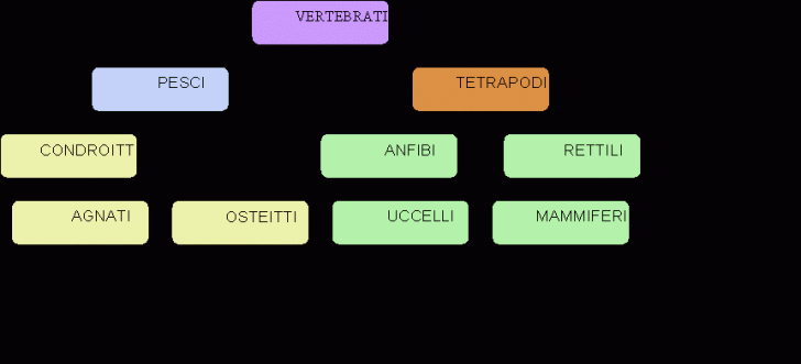 Organization Chart