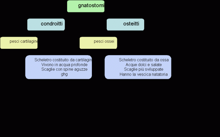 Organization Chart