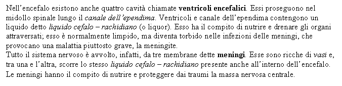 Text Box: Nell'encefalo esistono anche quattro cavità chiamate ventricoli encefalici. Essi proseguono nel midollo spinale lungo il canale dell'ependima. Ventricoli e canale dell'ependima contengono un liquido detto liquido cefalo - rachidiano (o liquor). Esso ha il compito di nutrire e drenare gli organi attraversati; esso è normalmente limpido, ma diventa torbido nelle infezioni delle meningi, che provocano una malattia piuttosto grave, la meningite. 
Tutto il sistema nervoso è avvolto, infatti, da tre membrane dette meningi. Esse sono ricche di vasi e, tra una e l'altra, scorre lo stesso liquido cefalo - rachidiano presente anche all'interno dell'encefalo. Le meningi hanno il compito di nutrire e proteggere dai traumi <a href=