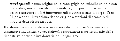 Text Box: - nervi spinali: hanno origine nella zona grigia del midollo spinale con due radici, una sensoriale e una motrice, che poi si uniscono ed escono attraverso i fori intervertebrali e vanno a tutto il corpo. Sono 31 paia che si intrecciano dando origine a stazioni di scambio di impulsi detti plessi nervosi. 

Il sistema nervoso periferico può essere distinto in sistema nervoso somatico e autonomo (o vegetativo), responsabili rispettivamente delle risposte volontarie e involontarie dell'organismo.

