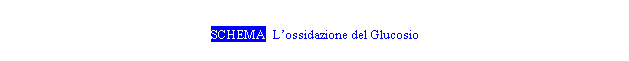 Text Box: SCHEMA L'ossidazione del Glucosio
