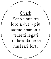 Oval: Quark
Sono unite tra loro a due o più comunemente 3 terzetti legati fra loro da forze nucleari forti

