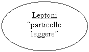 Oval: Leptoni
“particelle leggere”

