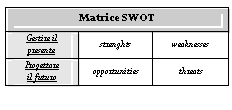 Text Box: Matrice SWOT
Gestire il
presente	strenghts	weaknesses
Progettare
il futuro	opportunities	threats

