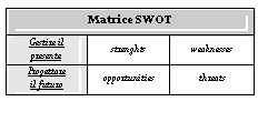 Text Box: Matrice SWOT
Gestire il
presente	strenghts	weaknesses
Progettare
il futuro	opportunities	threats

