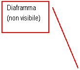 Line Callout 2: Diaframma
(non visibile)
