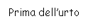 Text Box: Prima dell'urto