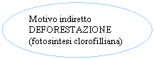 Oval: Motivo indiretto
DEFORESTAZIONE
(fotosintesi clorofilliana)

