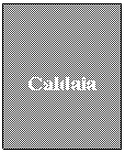 Text Box:    Caldaia
