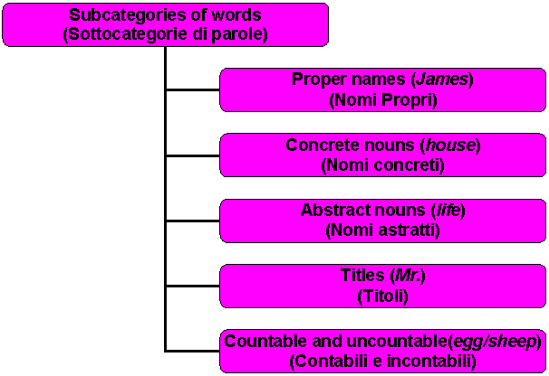 Organization Chart