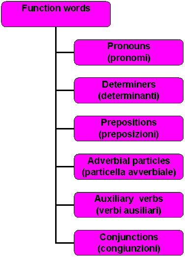 Organization Chart