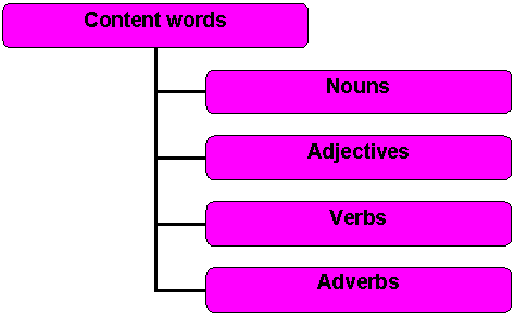 Organization Chart