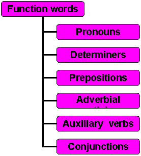 Organization Chart