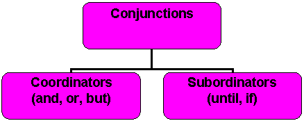 Organization Chart