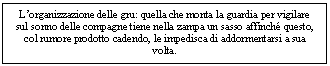 Text Box: L'organizzazione delle gru: quella che monta la guardia per vigilare sul sonno delle comne tiene nella zampa un sasso affinch questo, col rumore prodotto cadendo, le impedisca di addormentarsi a sua volta. 