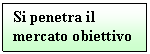 Text Box: Si penetra il  mercato obiettivo