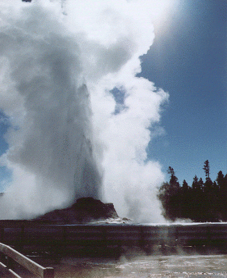 un geyser nel parco di Yellowstone