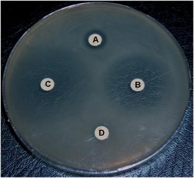 ANTBIOGRAMMA