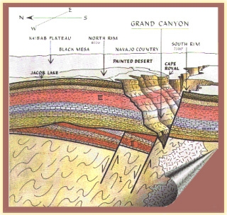 GEOLOGIA - Geologia urbana, Storia della Geologia, Suddivisione dei tempi geologici