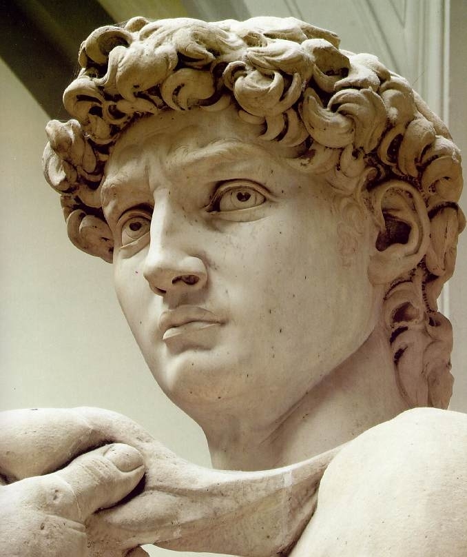 MICHELANGELO BUONARROTI, THE SCULPTURES AND PICTURES