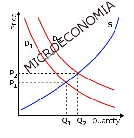 Microeconomia - Elementi di teoria - combinazione di beni X e Y