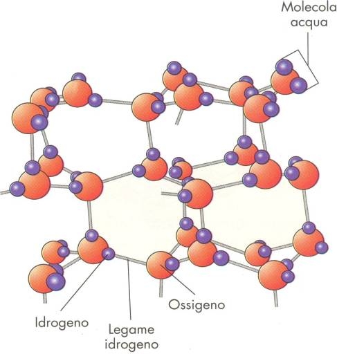 immagini/poza molecole