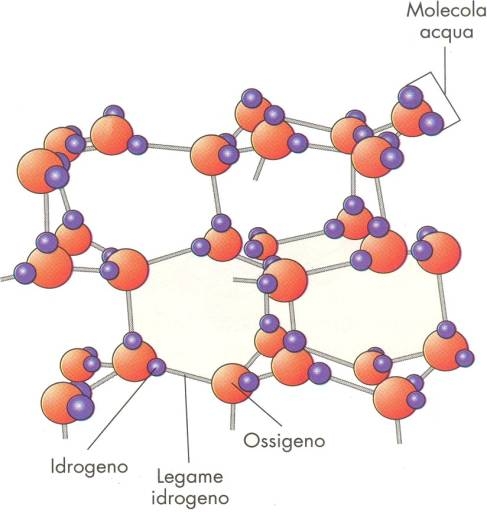 Relazione - Legami tra le molecole