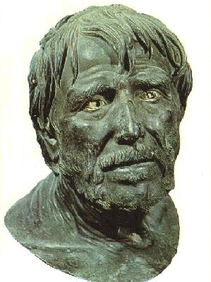 immagini seneca: